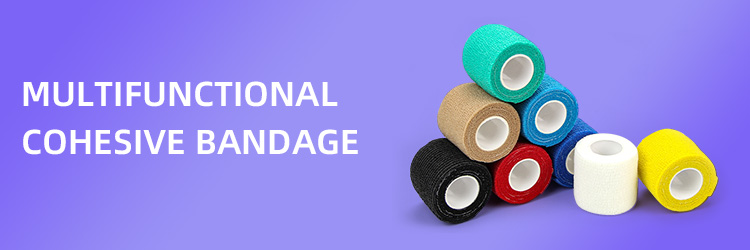 H74fd1e5c7aa44a1cb0b7fdd99f010746s